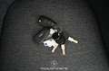 Ford Transit Custom 2.0 TDCi 320 L1 Trend PKW Pickerl NEU Weiß - thumbnail 19