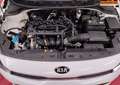 Kia Rio 1.2i*Sièges chauff*Capteurs AR*224 € x 48m* Blanc - thumbnail 10