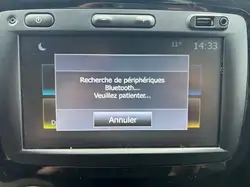 Renault Captur TCe 100 Business