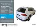 Volkswagen Tiguan Allspace 2.0 TDI SCR DSG Life 7Sitzer AHK Blanc - thumbnail 1