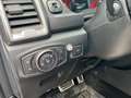 Ford Ranger Raptor Doppelkabine 4x4 STHZ MwSt. ausweisbar Schwarz - thumbnail 5