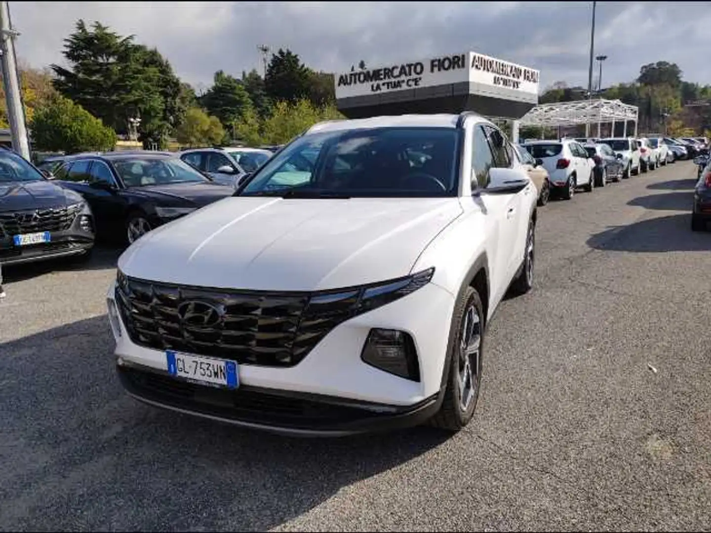 Hyundai TUCSON 1.6 PHEV Exellence Bianco - 1