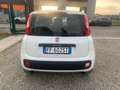 Fiat Panda 1.2 Easy Weiß - thumbnail 6