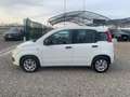 Fiat Panda 1.2 Easy Weiß - thumbnail 8