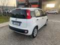 Fiat Panda 1.2 Easy Weiß - thumbnail 5