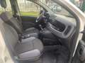 Fiat Panda 1.2 Easy Weiß - thumbnail 12