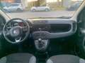Fiat Panda 1.2 Easy Weiß - thumbnail 13