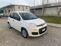 Fiat Panda 1.2 Easy Weiß - thumbnail 3