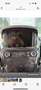 Ford Tourneo Courier 1.0 EcoBoost Trend - thumbnail 1