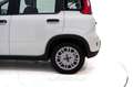 Fiat New Panda 1.0 FireFly S&S Hybrid Blanco - thumbnail 26