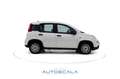Fiat New Panda 1.0 FireFly S&S Hybrid Blanco - thumbnail 20