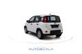 Fiat New Panda 1.0 FireFly S&S Hybrid Blanco - thumbnail 4