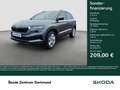 Skoda Karoq 1.5 SELECTION CAM ACC E-KLAPPE NAVI LM17 Gri - thumbnail 1