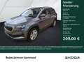 Skoda Karoq 1.5 SELECTION CAM ACC E-KLAPPE NAVI LM17 Grey - thumbnail 1
