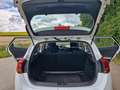 Kia Ceed / cee'd cee'd 1.4 CVVT Comfort Weiß - thumbnail 9
