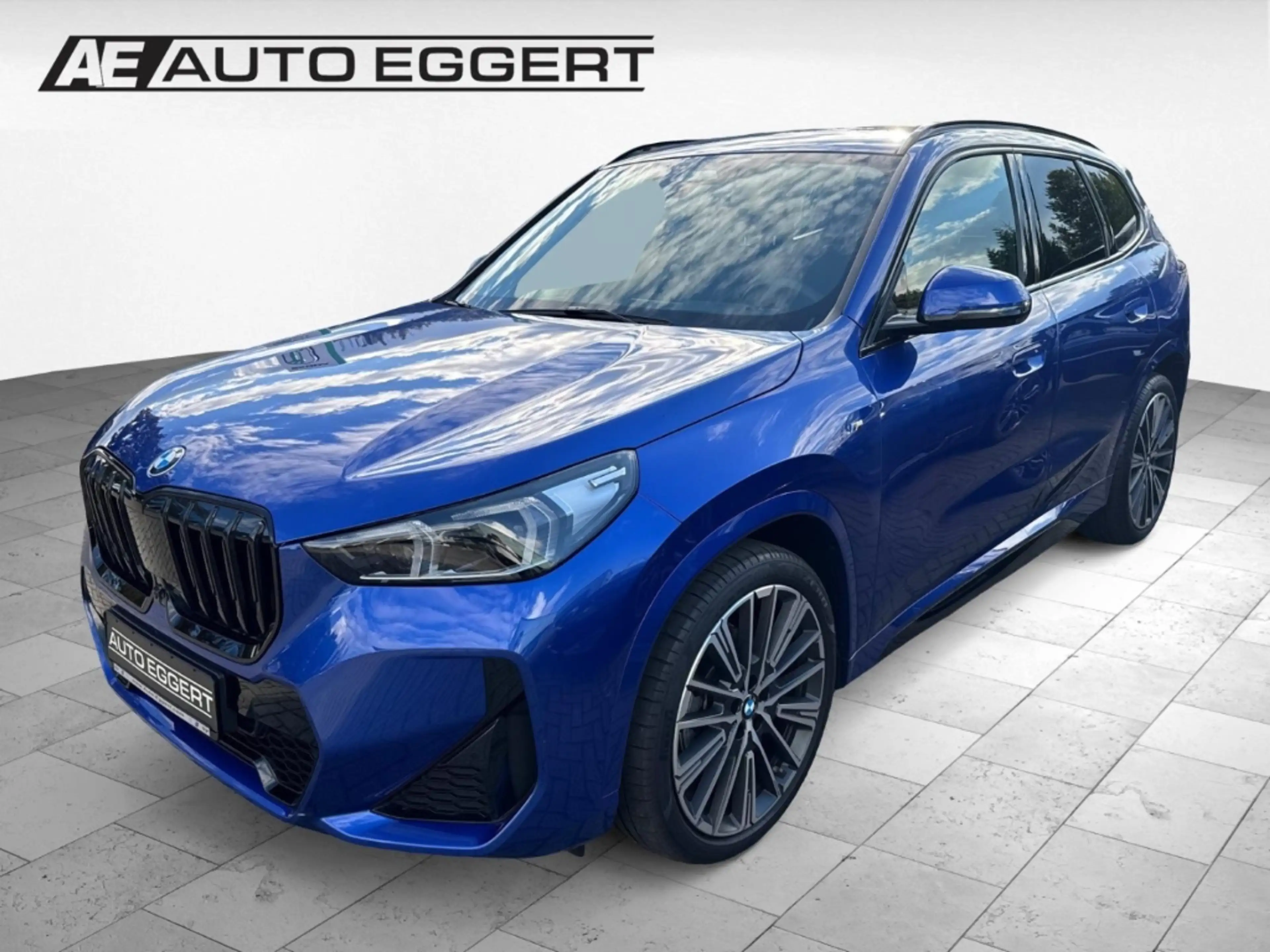 BMW X1 xDrive20d 8Fach bereift Lenkradhz HUD Park-Assiste