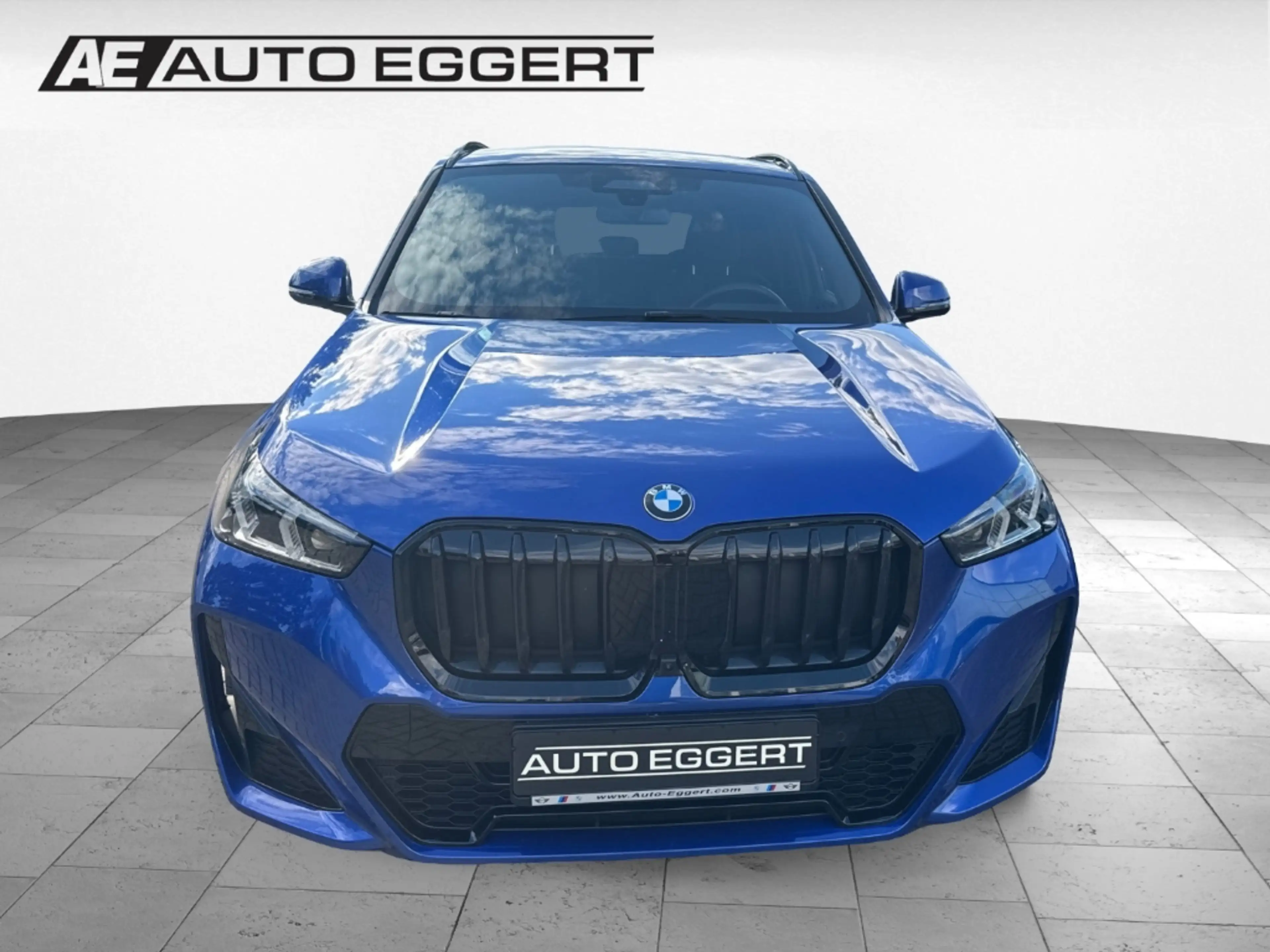 BMW X1 xDrive20d 8Fach bereift Lenkradhz HUD Park-Assiste — photo 3