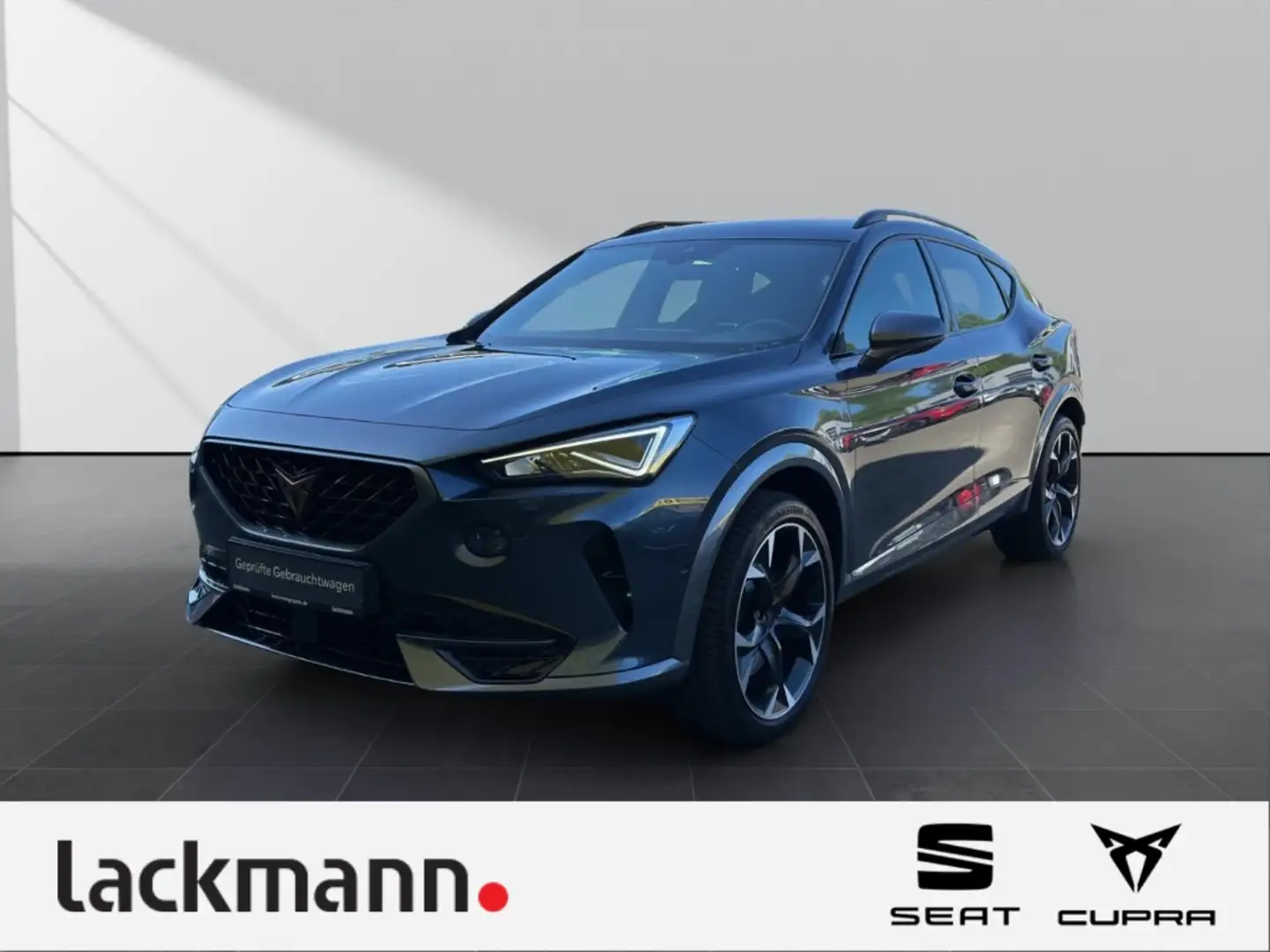 CUPRA Formentor 2.0 VZ 4Drive *Navi*LED*CarPlay*Winter* Grau - 1