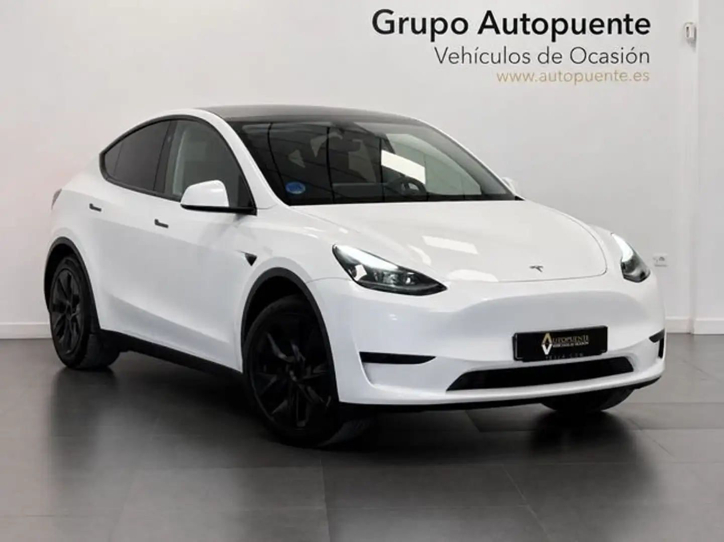 Tesla Model Y Gran Autonomia AWD Blanco - 1