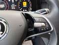 Skoda Superb Selection TDI DSG Grau - thumbnail 14