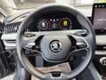 Skoda Superb Selection TDI DSG Grau - thumbnail 12