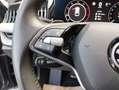 Skoda Superb Selection TDI DSG Grau - thumbnail 13