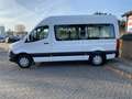 Mercedes-Benz Sprinter III 311 Tourer AMF Rollstuhlumbau, Rampe, Rollstuh Blanc - thumbnail 9