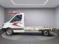 Mercedes-Benz Sprinter sprinter 313 cdi T 35/35 Bianco - thumbnail 3