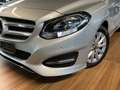 Mercedes-Benz B 180 B 180 Style AHK/GARMIN/SHZ/AUDIO20 Grau - thumbnail 19
