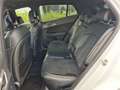 Kia Sportage Sportage 1.6 CRDi MHEV AWD DCT GT-line - thumbnail 11