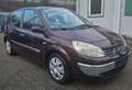 Renault Scenic Dynamique Confort,Klima, 2 Schiebedach. Rot - thumbnail 5