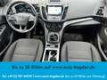 Ford Kuga Cool & Connect 4x4 Navi*Tempomat*PDC*SHZ Weiß - thumbnail 8