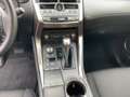 Lexus NX 300 h  Amazing Edition FLA KAM LED KeyLess LM Grau - thumbnail 21