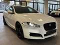 Jaguar XF Sportbrake 3.0R-Dynamic-Sport-Sitzbelüftung- Weiß - thumbnail 3