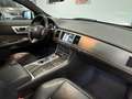 Jaguar XF Sportbrake 3.0R-Dynamic-Sport-Sitzbelüftung- Weiß - thumbnail 13