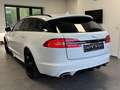 Jaguar XF Sportbrake 3.0R-Dynamic-Sport-Sitzbelüftung- Weiß - thumbnail 6