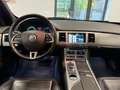 Jaguar XF Sportbrake 3.0R-Dynamic-Sport-Sitzbelüftung- Weiß - thumbnail 12