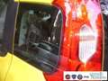 Fiat Panda 1.0 FireFly S&S Hybrid Pandina Urban Km 0 Giallo - thumbnail 5