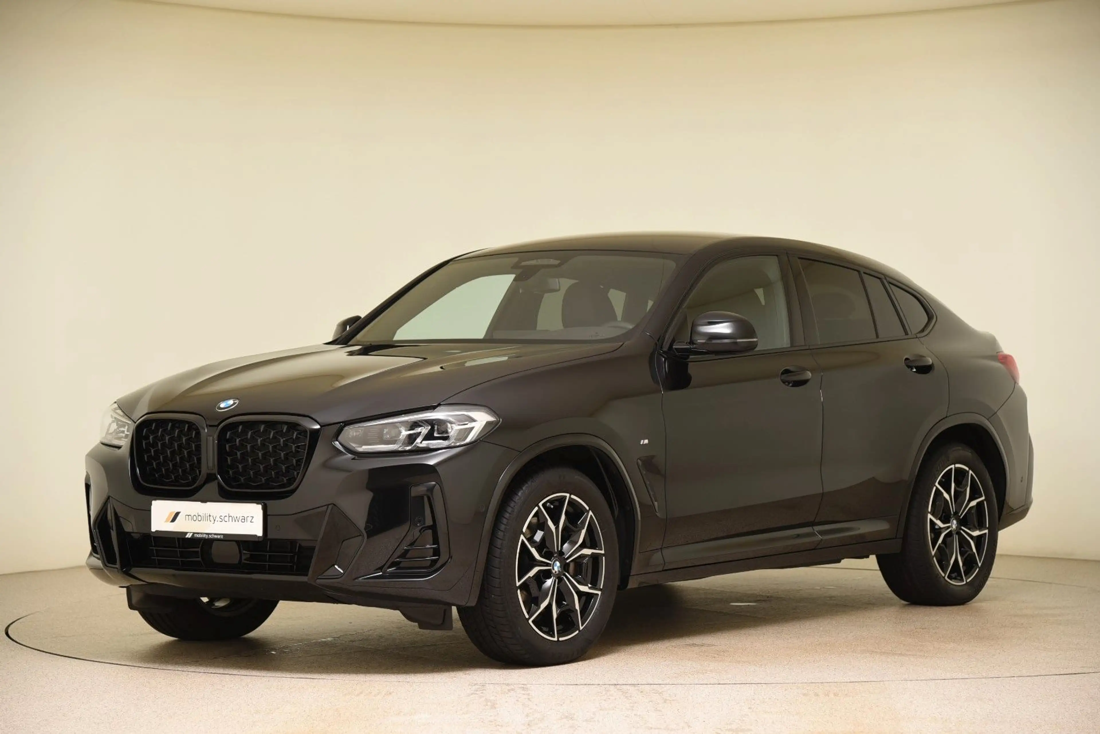 BMW X4 xDrive30d M Sport AHK DriveAssProf HiFi Leder