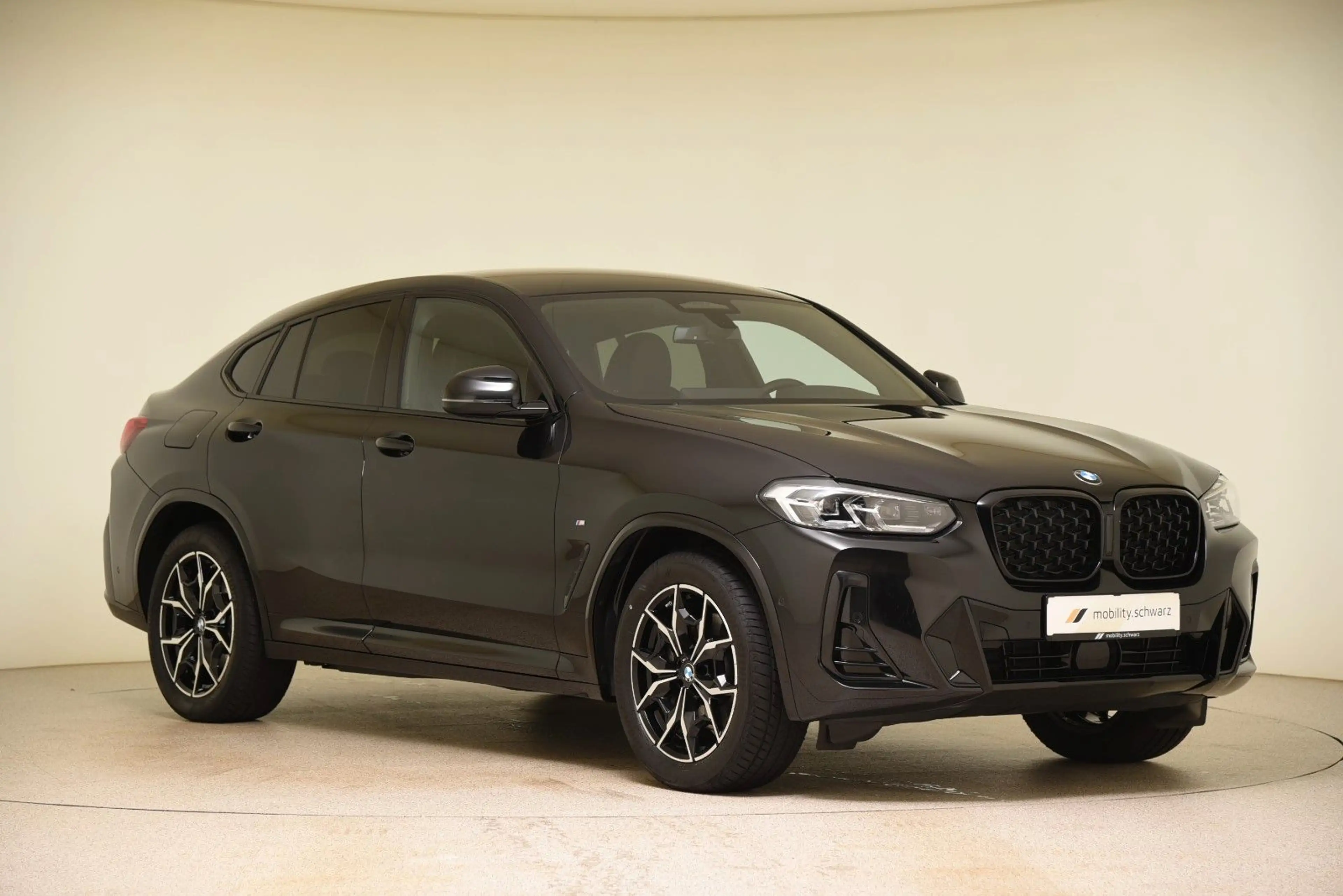 BMW X4 xDrive30d M Sport AHK DriveAssProf HiFi Leder — photo 4