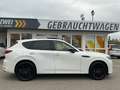 Mazda CX-60 2,5 Homura PHEV AHK ACC HUD PANO Weiß - thumbnail 8