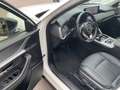 Mazda CX-60 2,5 Homura PHEV AHK ACC HUD PANO Weiß - thumbnail 15
