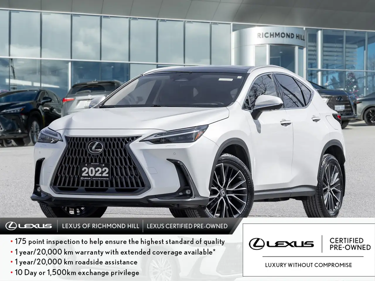 2022 Lexus NX