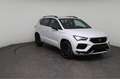 CUPRA Ateca 1.5 TSI 110kW (150 PS) 7-Gang-DSG 110 kW (150 P... Weiß - thumbnail 10