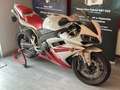 Yamaha YZF-R1 Alb - thumbnail 8