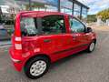 Fiat Panda 1.2 8V Dynamic Rouge - thumbnail 6