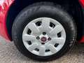Fiat Panda 1.2 8V Dynamic Rouge - thumbnail 13