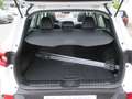 Renault Kadjar 1.5 dCi  Autom. Bose Edition, Navi Weiß - thumbnail 11