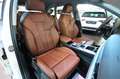 Audi A4 allroad 40 TDI S-Tronic Identity Contrast - PELLE/VIRTUAL/ADAS/TELECAMERA Blanco - thumbnail 17