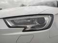 Audi A3 Business Line 2.0 35 TDI Weiß - thumbnail 15